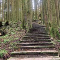 中南部找山友揪團登山健走旅行去