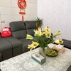 茉莉養生館
