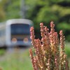 鉄道の世界を大きく！【TOM】