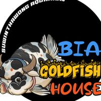 Bia Goldfish house
