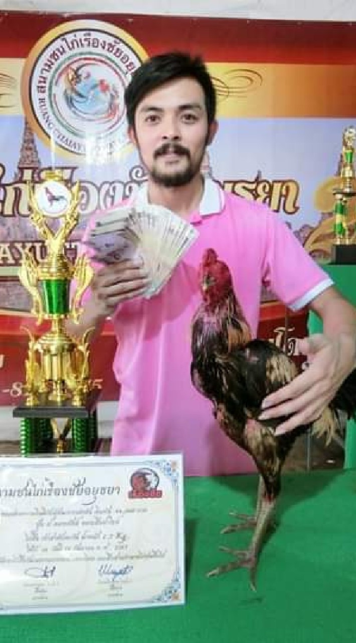 ซุ้มส.คมพยัคฆ์ ฟาร์มไก่ชนอยุธยา