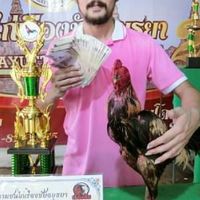 ซุ้มส.คมพยัคฆ์ ฟาร์มไก่ชนอยุธยา