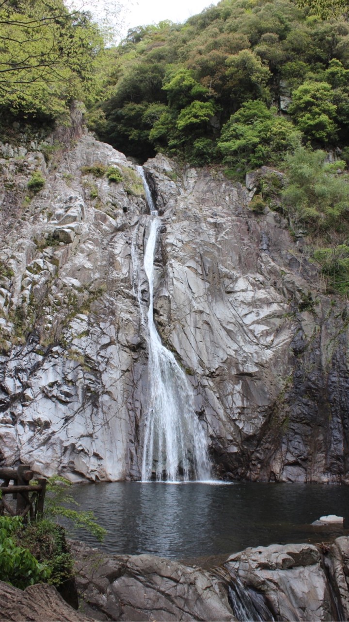 六甲山ゆるーく登山