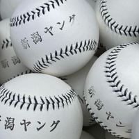 新潟ＢＣ中学部　新潟ヤング