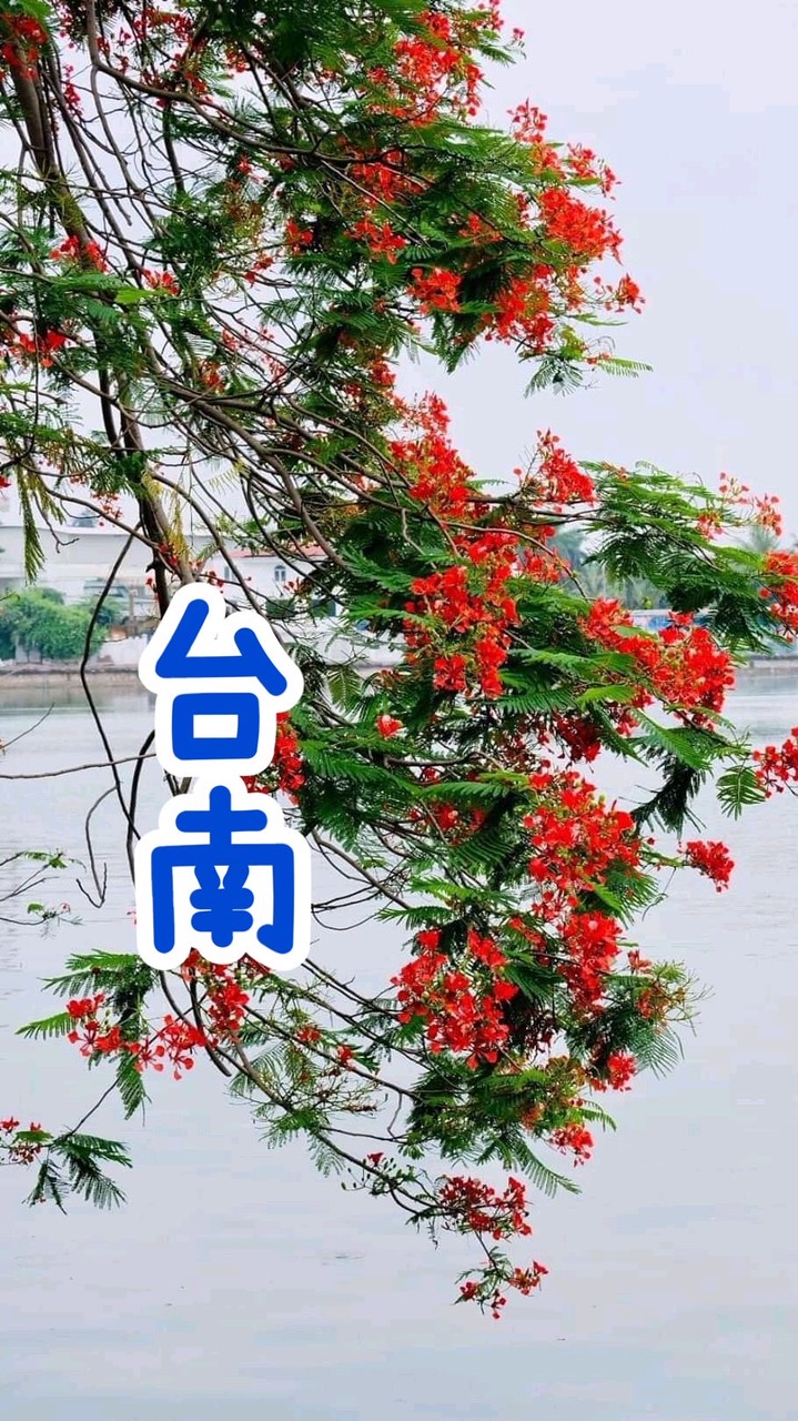 台南市《建設/代銷/跑單》職缺專區