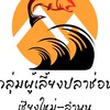 ปลาช่อนเชียงใหม่-ลำพูน