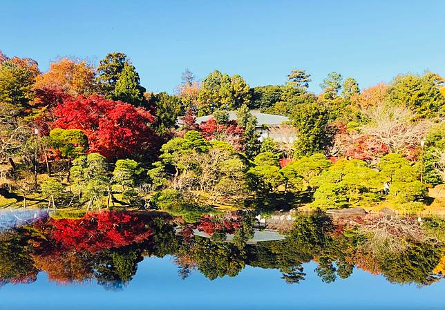 蘇跑旅遊 成田山公園紅葉祭追趕紅葉尾巴 Line Today Line Today