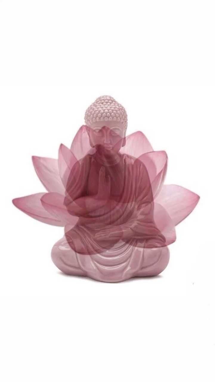 หมอซิงสายมู[ปรึกษาปัญหาชีวิต]🧘‍♀️🪷
