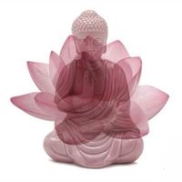 หมอซิงสายมู[ปรึกษาปัญหาชีวิต]🧘‍♀️🪷