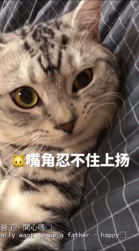 喜歡YouTube的人來吧！