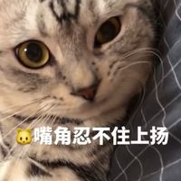 喜歡YouTube的人來吧！