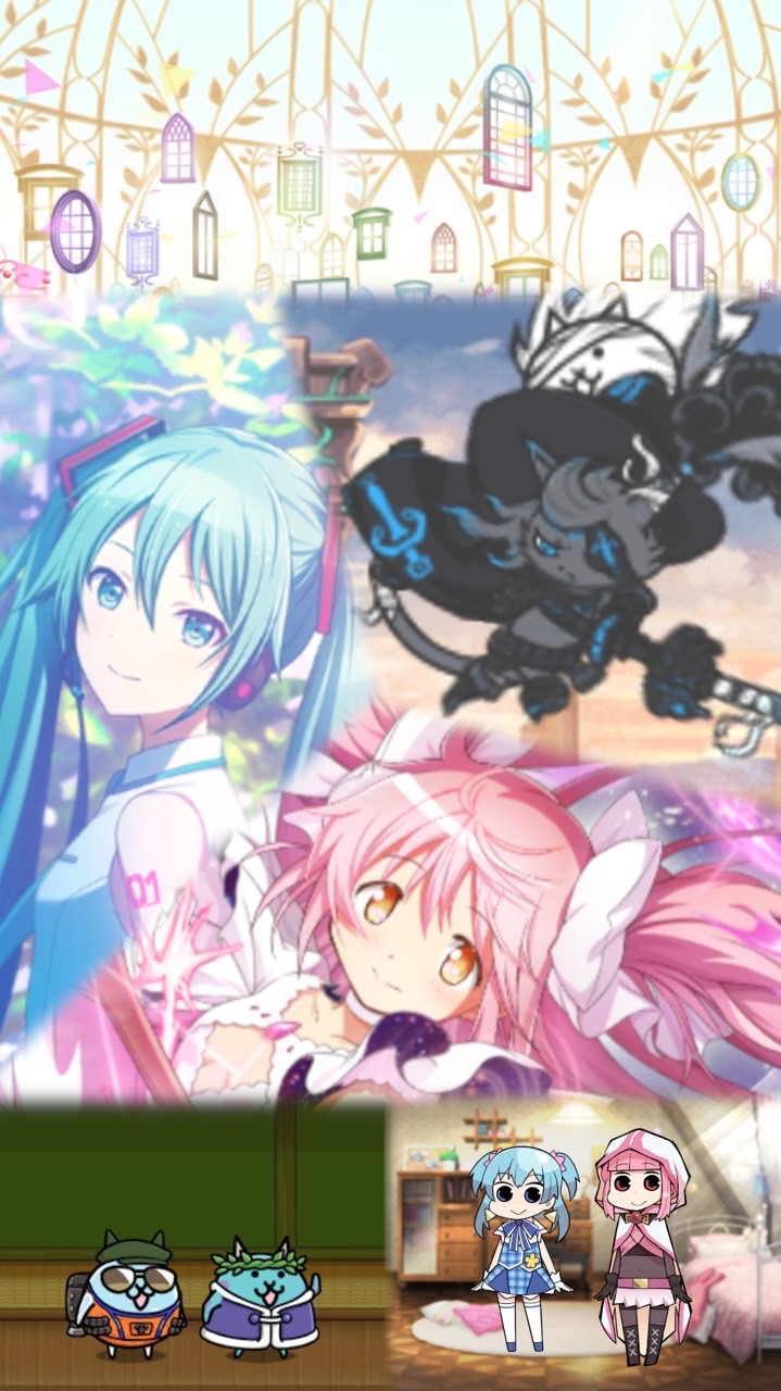 みんなで！にゃんこプロセカまどドラ雑談♪
