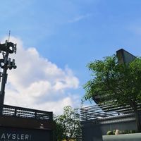 白人粉絲群