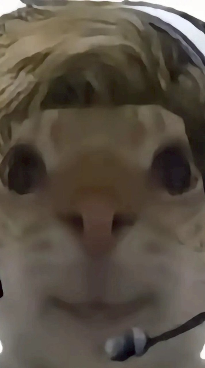 三角洲鼠鼠團（手機、電腦可）