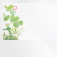 Irenia關係優化深度體驗群
