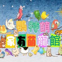 鸚特萌～家有萌寵館（福利部）