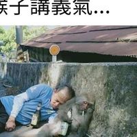 笑死猴子🐒