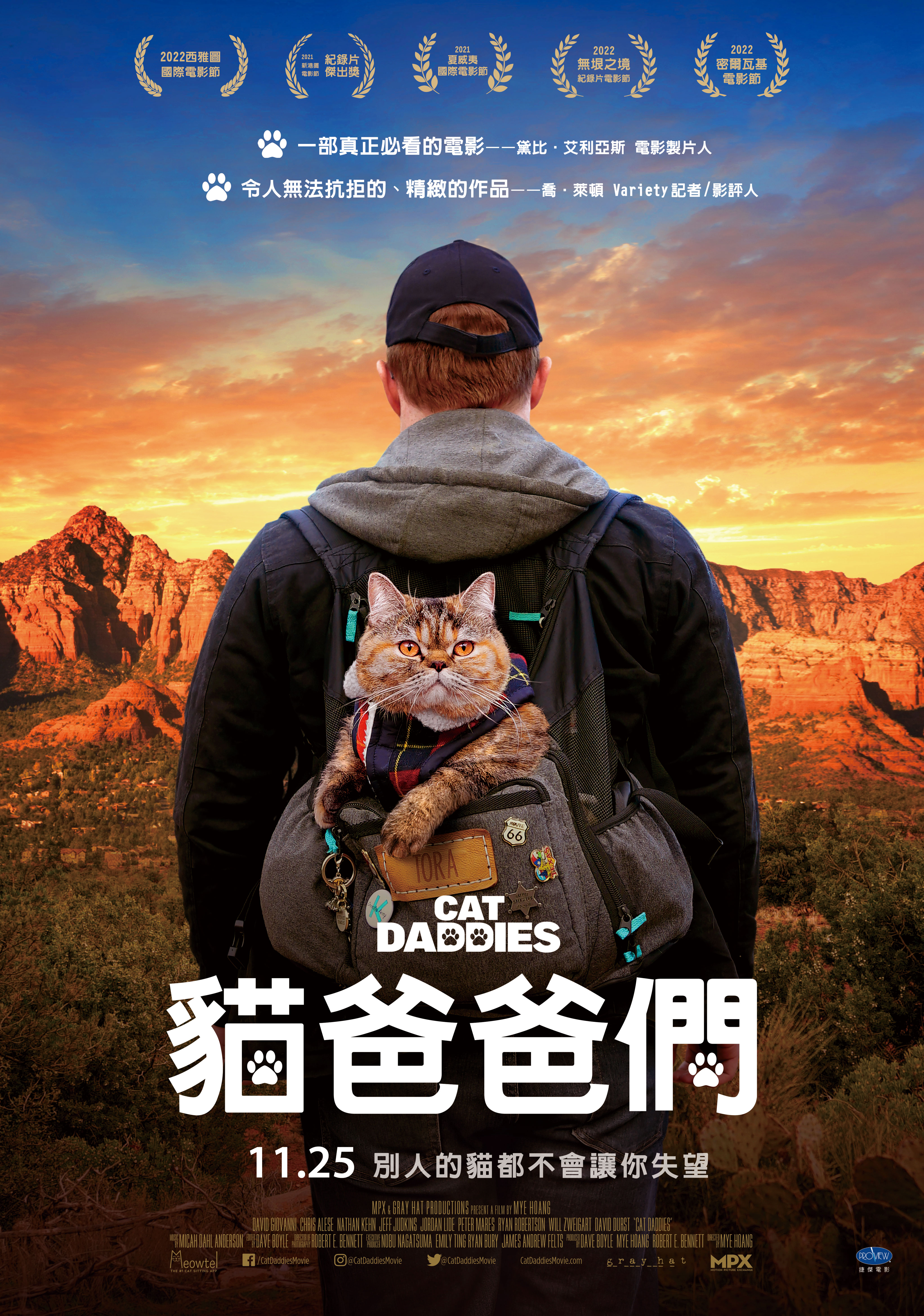 貓爸爸們 Cat Daddies