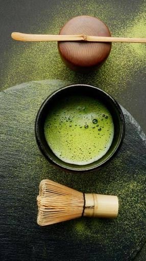 裏千家茶道慶茶会 2026年度 新歓