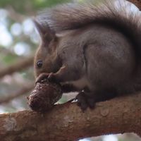 北海道のトモダチ作ろう！！