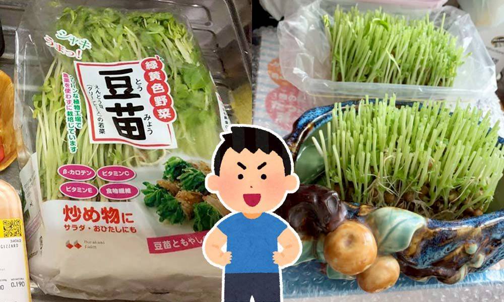 超市 9豆苗翻種4次小秘訣 在家自煮兼種植豆苗食譜分享 Sundaykiss Line Today