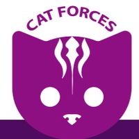 CatWash
