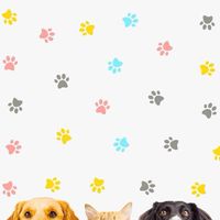 พัฒนาสุนัขและแมว🐕🐈