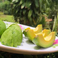 สวนยายไข่