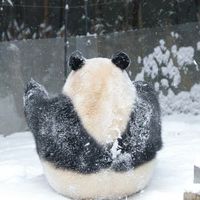 7/28愛寶樂園BAO Family採購趣🎉樂寶生日快樂🎂