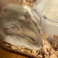 ラテるるカップル🫶