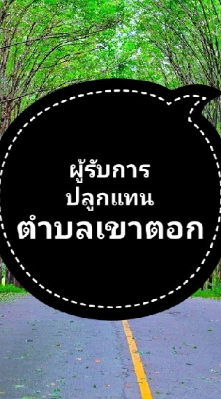 ผู้รับการปลูกแทน ตำบลเขาตอก