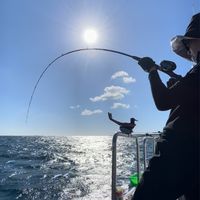 堅持✊手釣魚🎣