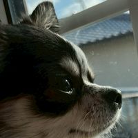 @寝落ち魔