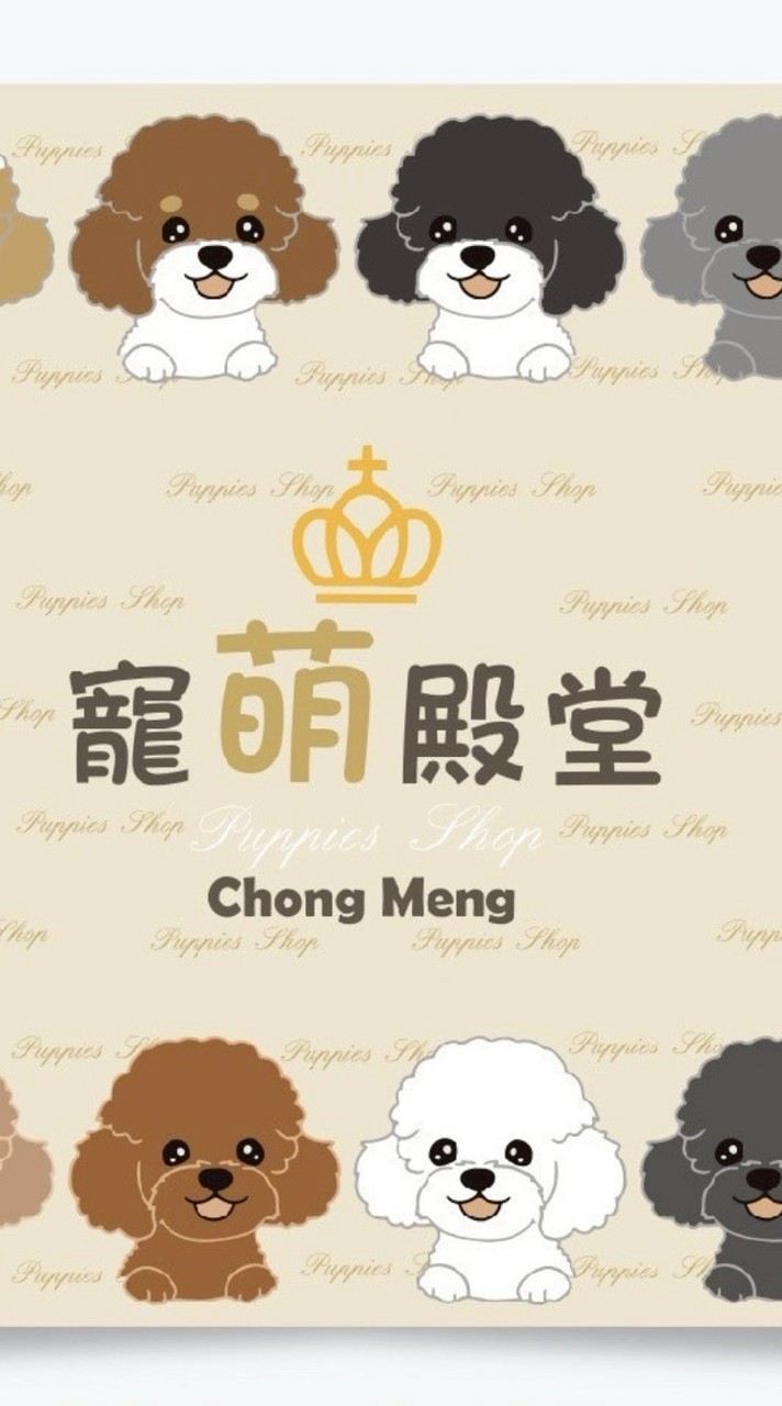 迪士尼夢幻犬✨可卡布|可卡熊