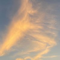 野本音楽塾