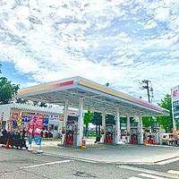 （株）小鹿産業 セルフ宮園店