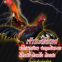 ซุ้ม บราก้า🐓❤️