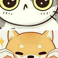 กลุ่มคนรักสัตว์เลี้ยงและแฟชั่น&บิวตี้🐕💄