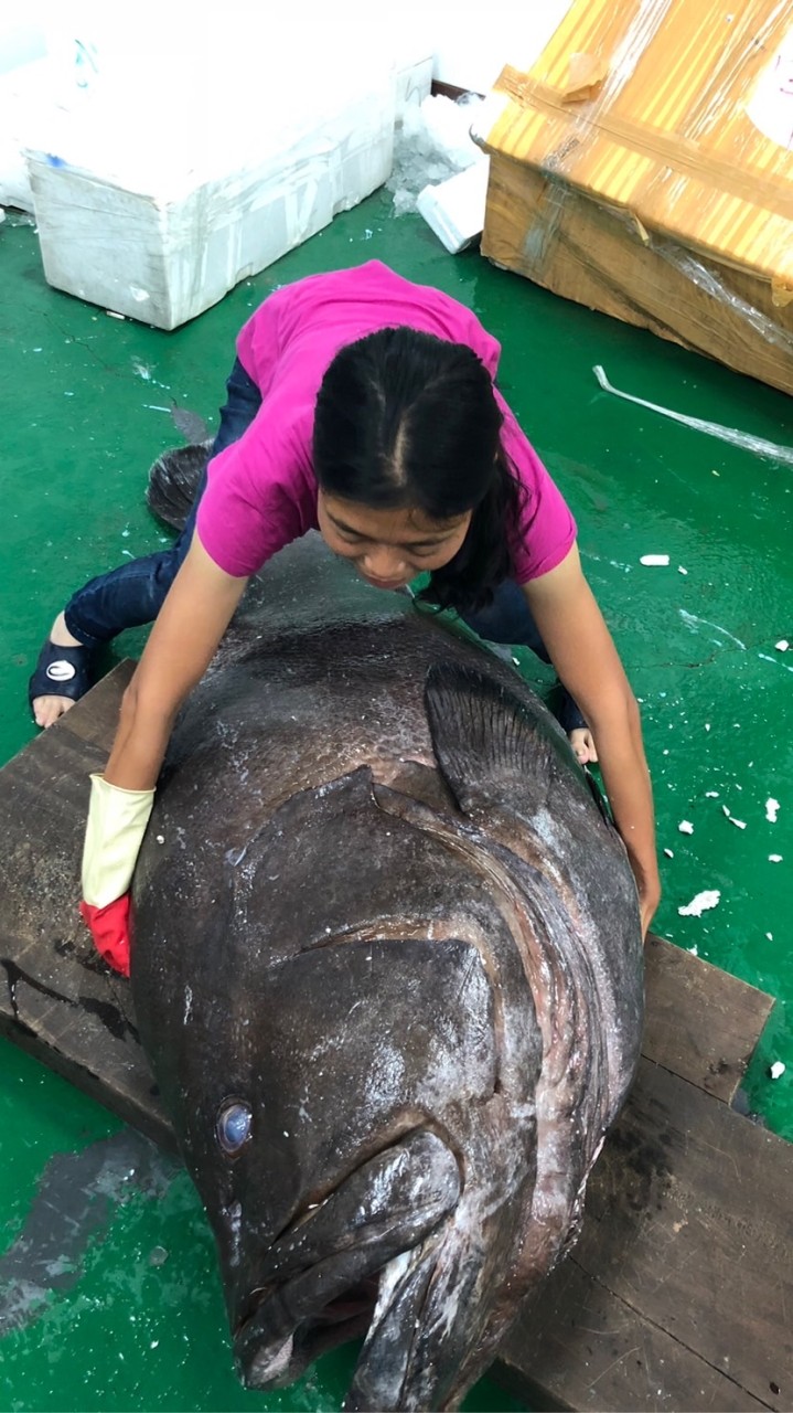 聖宏滿澎湖海鮮漁府