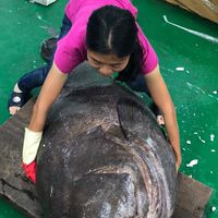 聖宏滿澎湖海鮮漁府