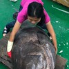 聖宏滿澎湖海鮮漁府