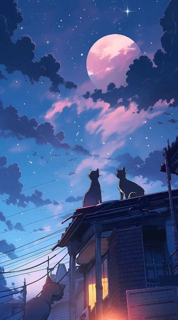 Black Cat Dormitory | RP