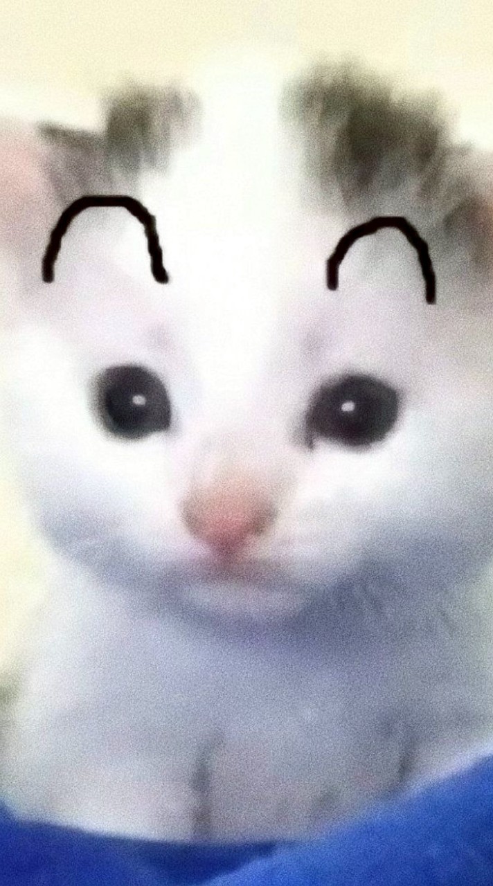 ꒰ა คุยเล่น เล่นเกม ปรึกษา ฯลฯ ໒꒱
