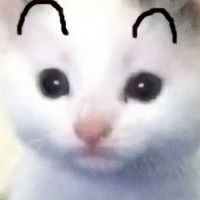 ꒰ა คุยเล่น เล่นเกม ปรึกษา ฯลฯ ໒꒱