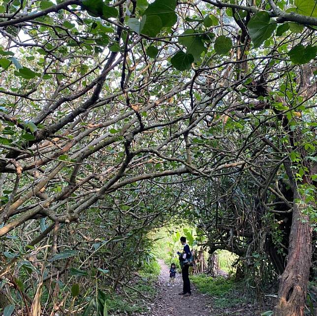 照片來源：IG ＠candy_chihyun