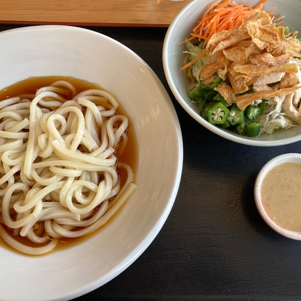 ユーザーが投稿したサラダうどんの写真 - 実際訪問したユーザーが直接撮影して投稿した志村和食 / 日本料理和食れすとらん 天狗 志村二丁目店の写真