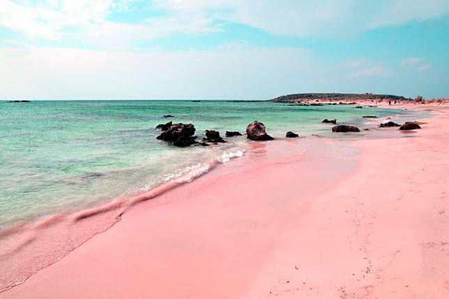 7 Pantai Pink Paling Indah di Dunia yang Wajib Dikunjungi