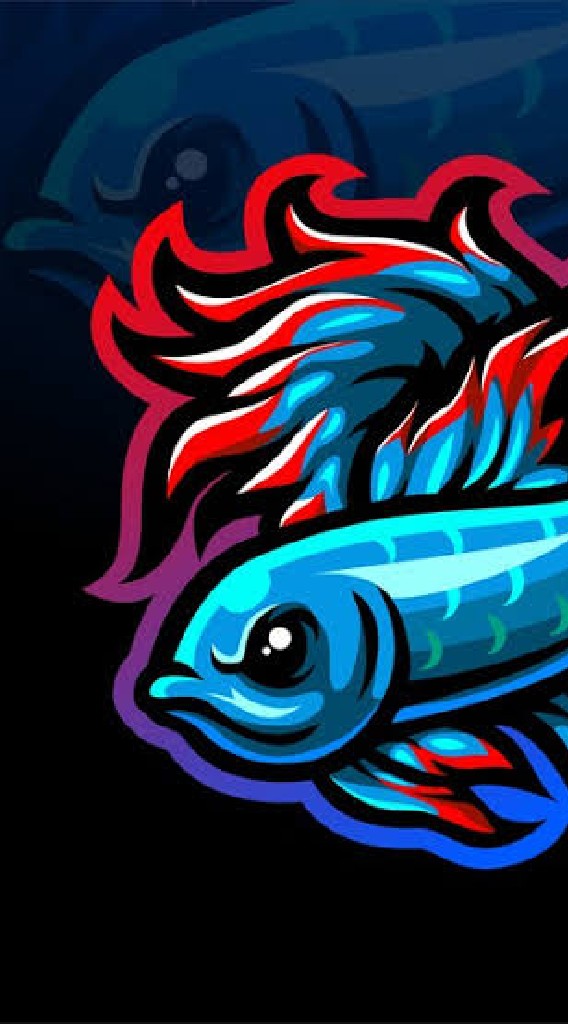 เริ่มต้น 500 บาท ปลากัด(Betta) Top grade