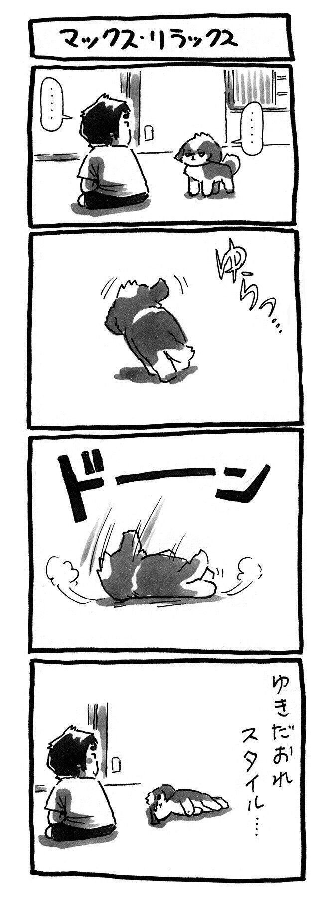 いろんな好条件が揃ったその時 生き倒れ犬 となる