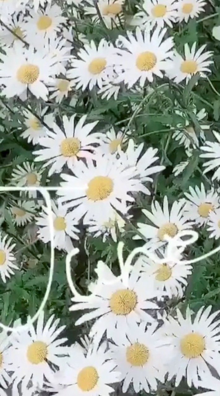 架空アイドル事務所　　　　　　　❀flowers❀